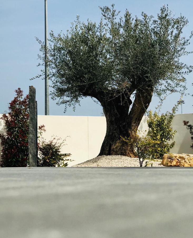 L'Oasis Vendargues Bed & Breakfast Екстериор снимка