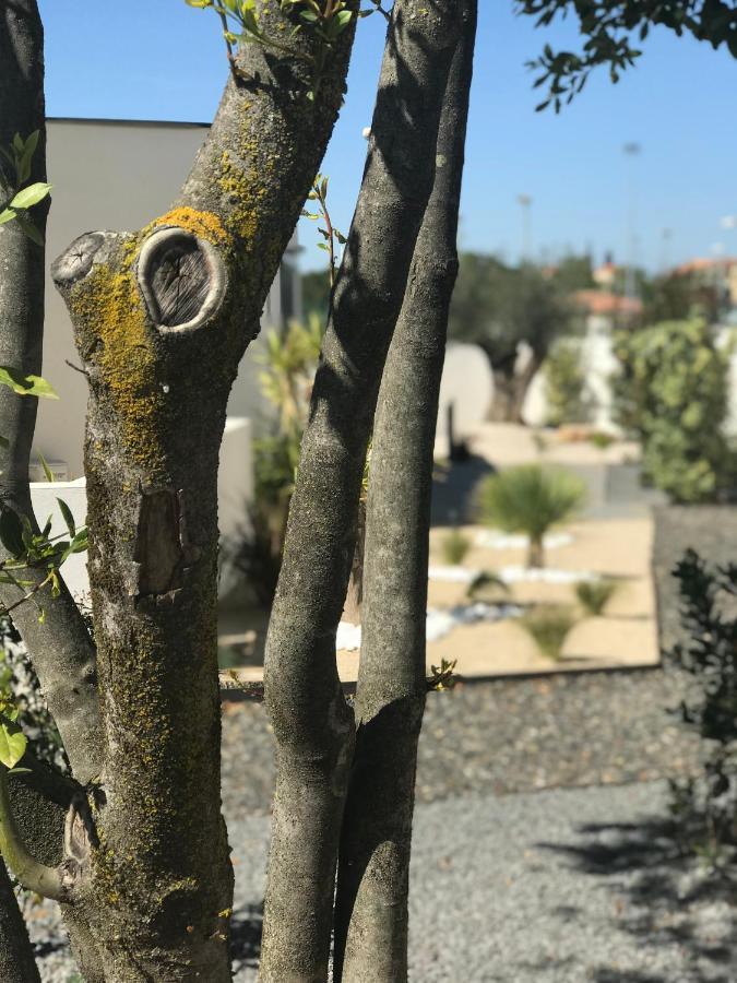 L'Oasis Vendargues Bed & Breakfast Екстериор снимка